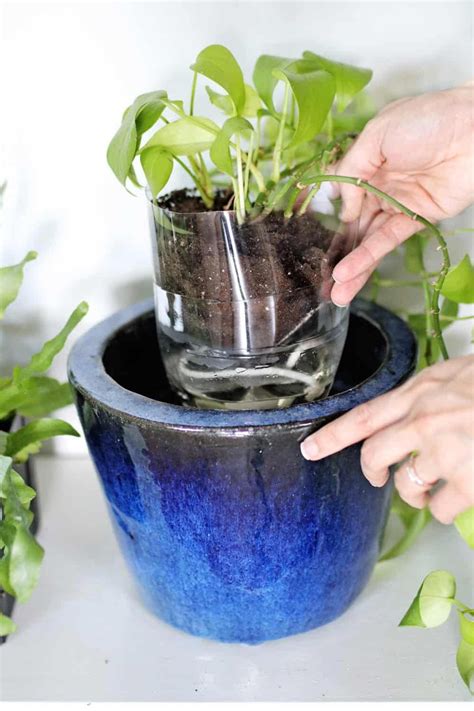 3 Self Watering Planter Hacks You Have To Try Self Watering