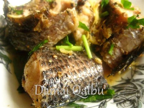 Harga ikan arwana yang cukup mahal membuat perwatan ikan ini juga tidak tips dalam memberi makanan ikan arwana yang baik. Resepi Ikan Haruan Untuk Orang Berpantang ~ Resep Masakan Khas
