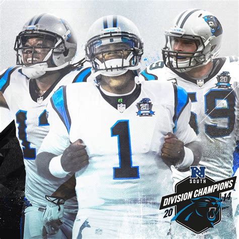 Back To Back Nfc South Champs The Panthers Are In The Playoffs