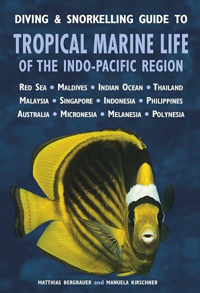 Diving And Snorkelling Guide To Tropical Marine Life Of The Indo Pacific