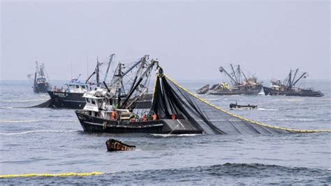 Milla 201 El Punto Más Caliente De La Pesca Ilegal En El País Perfil