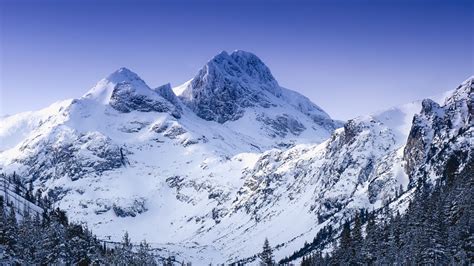 Download Winter Glacier Mountain Nature 1366x768 Wallpaper Tablet