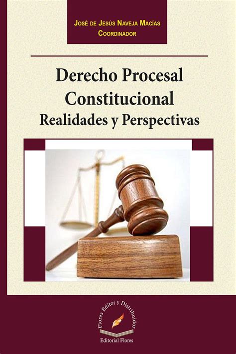 Derecho Procesal Constitucional Realidades Y Perspectivas Grupo Corporativo Ludp And Betty Book