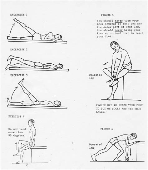 Hip Replacement Exercises After 8 Weeks Exercisewalls