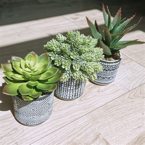 Winlyn Set Of 3 Assorted Small Potted Succulents Arrangement Artificial
