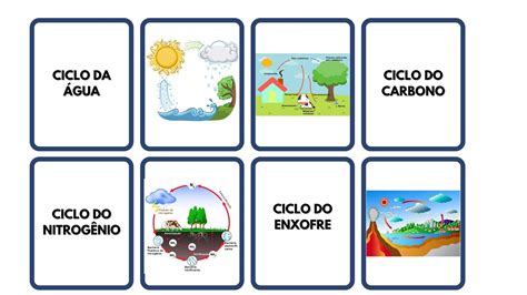 Exercícios Sobre Ciclos Biogeoquímicos