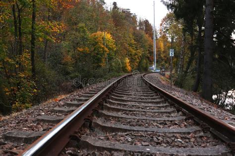 Railroad Tracks Next To Vibrantly Colored Trees In Autumn Stock Photo