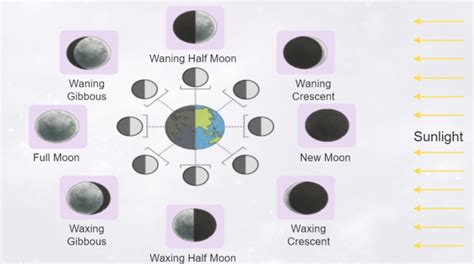 What Is The Maramataka The Māori Lunar Calendar Twinkl Nz