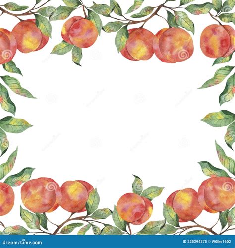 A Watercolor Frame With Fruits A Ripe Peach With Branches Of Leaves On