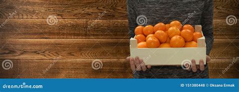Farmer Holding Fresh Tangerines Or Mandarins In Wooden Box Stock Photo