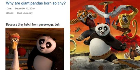 Kung Fu Panda 10 Memes Que Terminan La Película Escuela Secundaria