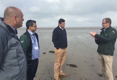 burnham on sea s mp reassured after flood protection checks in area