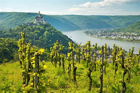 Das geheimnis von burg koppenstein: Aktiv unterwegs in Rheinland-Pfalz | Fernweh - Das ...