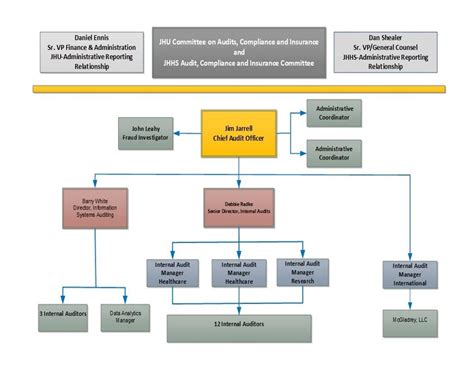Organizational chart of the federal communications commission bureaus consumer & governmental affairs enforcement international media public safety & homeland security wireless telecommunications wireline competition offices administrative law judges communications. Organization Chart - Office of Hopkins Internal Audits