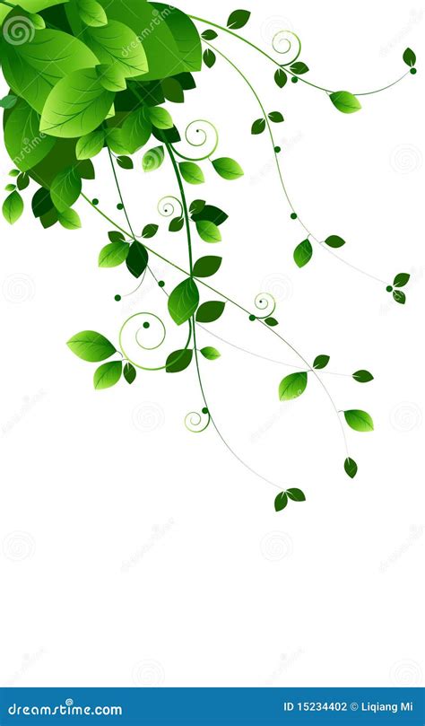 Green Vines Stock Vector Illustration Of White Background 15234402
