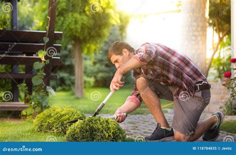 Man Trimming Bush In Backyard Stock Image Image Of Hobby Landscaping
