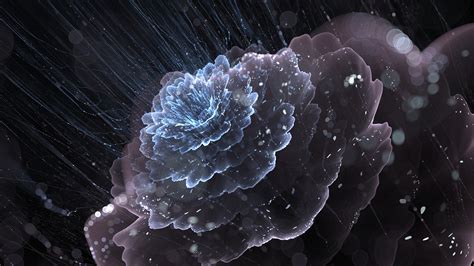 Digital Art Fractal Flowers Fractal Abstract Wallpapers