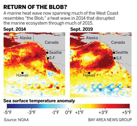 The Blob Is Back New Ocean Heat Wave Emerges Off West Coast