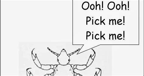 The Nice Lice Lady: Of all the human parasites, head lice ...