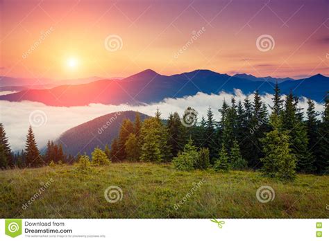 Majestic Summer Landscape Stock Image Image Of Heaven 80397865