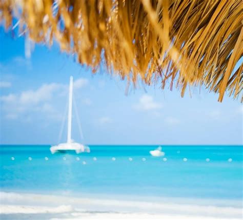 14 Things To Know Before Your Travel To Aruba Visit Aruba Blog