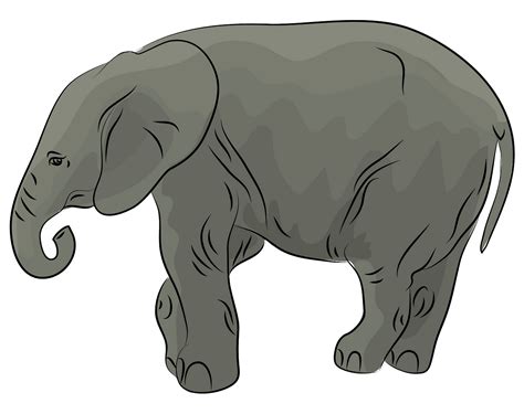 Clipart Elephant 10 Free Cliparts Download Images On Clipground 2024