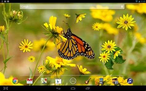 Butterfly Live Wallpaper Free Android Live Wallpaper