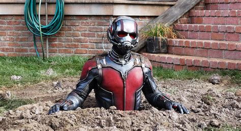 You may have heard of it. Which Avenger Has the Highest Tomatometer?