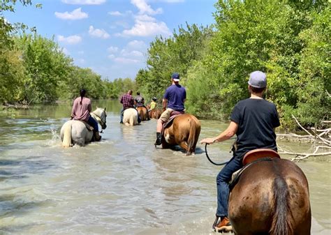 Where To Go Horseback Riding Visit Austin Texas
