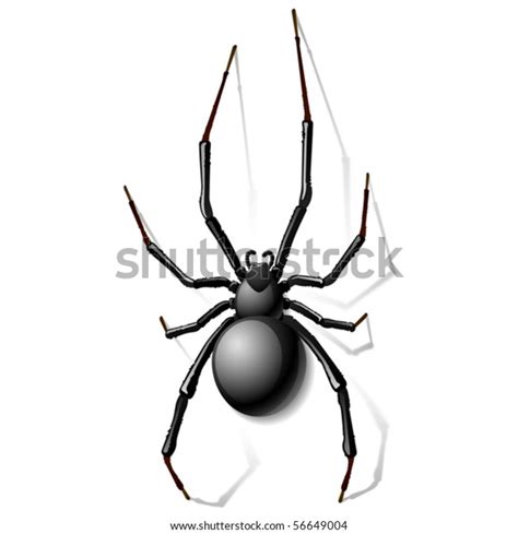 Black Widow Spider Vector 库存矢量图（免版税）56649004