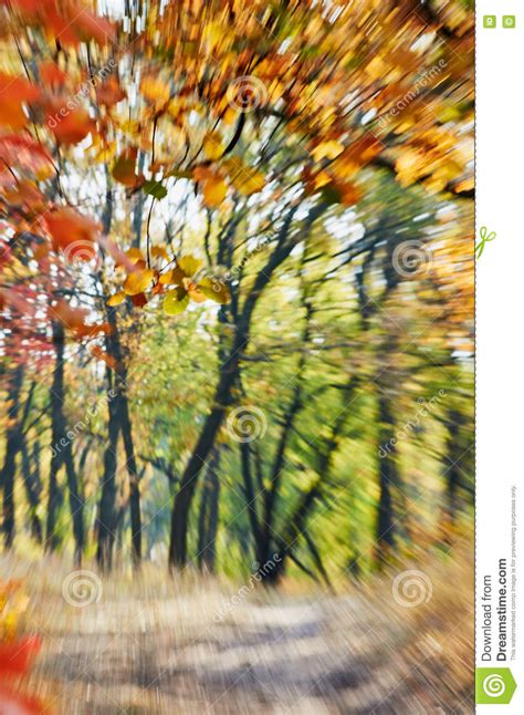 Autumn Motion Zoom Blurred Abstract Background Stock Image Image Of