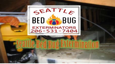 Seattle Bed Bug Extermination 206 531 7404 Youtube
