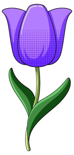 Free Vector Purple Tulip With Leaves