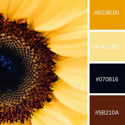 Sunflower Color Palette Sunflower Colors Color Palette Color