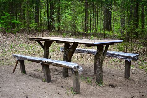 Wooden Picnic Table In The Forest Stock Image Image Of Tourism Leaf 183397281
