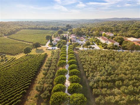 Meneghetti Villa And Winery Tasteful Croatian Journeys