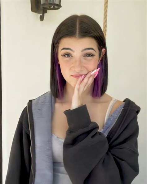 Pin By ⫶ 𝘱ꫀꪋ𝘤𝘩ꪗ 𖤐₊˚ On ♡ Charli Damelio ♡ Hair Color Purple Hair