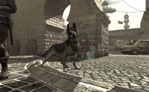 Dog Animal Call Of Duty Wiki Fandom Powered By Wikia