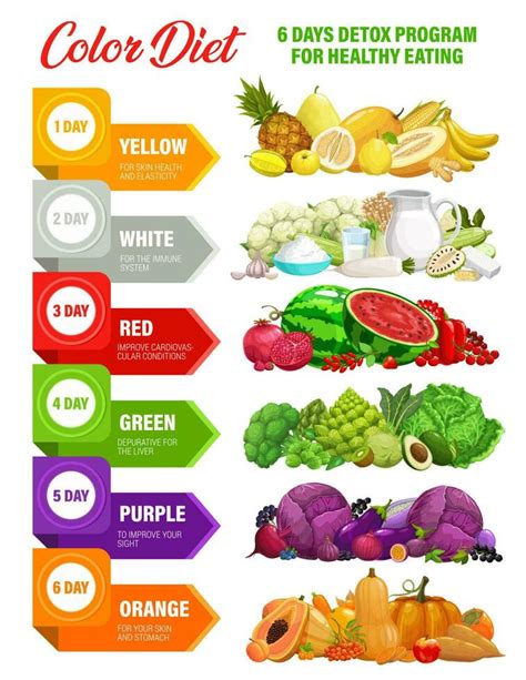 Color Rainbow Diet Detox Nutrition Infographics 23839915 Vector Art At