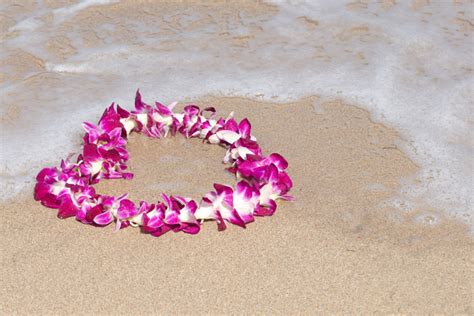 Lei Flower Necklace Hawaii Best Flower Site