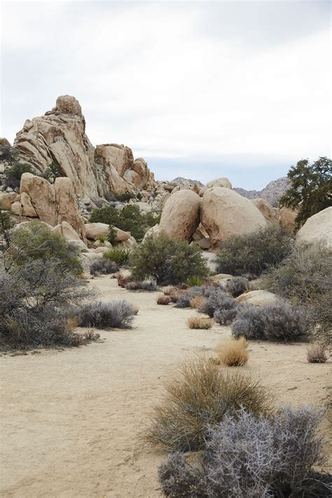 Joshua Tree National Park California Desert Dream Landscape Scenery