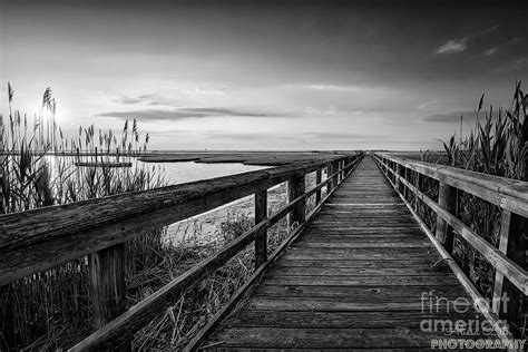 Learn to draw online i post a new drawing tutorial every saturday. Cedar Beach Sunset Black And White Photograph by Alissa ...