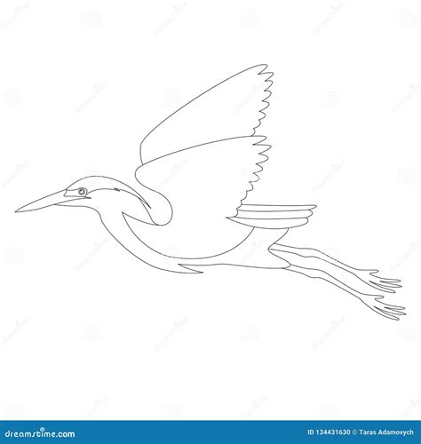 Heron In Flight Vector Illustration Lining Draw Stock Vector