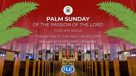 Palm Sunday Of The Passion Of The Lord 11 Am Mass Youtube