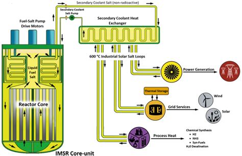 The Integral Molten Salt Reactor