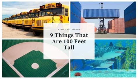9 Things That Are 100 Feet Tall Page 2