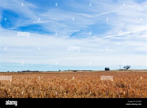Countryside Near Shattuck Ellis County Oklahoma Usa Stock Photo Alamy