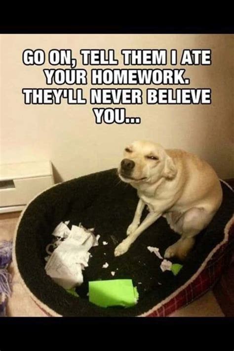 If you need some stupid words written down to motivate or change you, then you are seriously lacking in. 28 Funny Inspirational Quotes And Minions Funny Memes ...