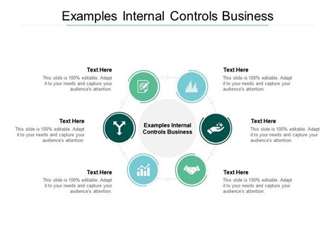 Examples Internal Controls Business Ppt Powerpoint Presentation