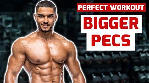 Perfect Chest Workout For Bigger Pecs Youtube